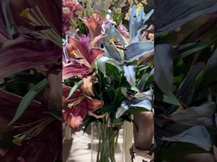 Mô hình mô phỏng retro theo phong cách châu Âu gradient màu sắc chạm hoa lily, hoa mô phỏng trang trí gia đình