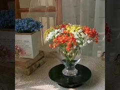 Ngôi trời sao nhỏ viết tay, màu xuân, sao sao, hoa giả, hoa giả, Artificia