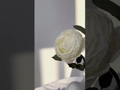 Mô phỏng hoa đơn Manta hoa hồng bó hoa bắn prop, trang trí gia đình Bắc Âu đám cưới bó hoa cr