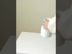 Mô phỏng của 8 cây cá nhỏ, mô phỏng của thực và giả cá, trang trí nhà, đám cưới, s