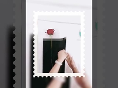 Nữ thần một bó hoa nhỏ bao bì minh bạch opp phim chống nước bọc giấy hoa diy mate