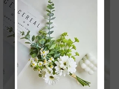 Hình tượng hoa hoa hoa hoa hoa hoa hoa hoa hoa hoa hoa hoa hoa hoa hoa hoa hoa hoa hoa hoa hoa hoa hoa hoa hoa hoa hoa hoa hoa hoa hoa hoa hoa hoa hoa hoa hoa hoa hoa hoa hoa hoa