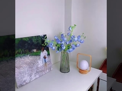 Hoa giả, đổ xô, Hoa lan hồ điệp, hoa giả, hoa lụa, hoa trưng bày tại nhà