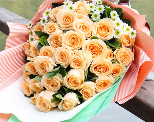 Giá tốt. Giấy màu trơn 50cmx70cm không thấm nước để gói hoa trực tuyến