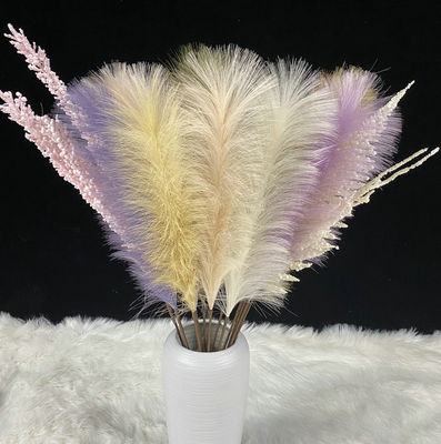 Mua Tơ nhân tạo Reed Pampas Grass Home Wedding Decor Backdrop Trang trí sản xuất trực tuyến