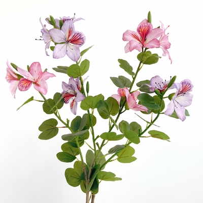 Giá tốt. Hoa Bauhinia nhân tạo bằng nhựa Trung Quốc cho trang trí nhà và khách sạn trực tuyến