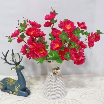 Mua Đám cưới, trang thiết bị chụp ảnh, trang trí trong nhà và ngoài trời với hoa đào thực tế sản xuất trực tuyến