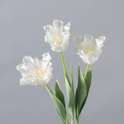 Giá tốt. Đồ nội thất gia đình mềm, bó hoa nhân tạo, thiết bị quay phim, 5 bông hoa tulip hai cánh hoa trực tuyến