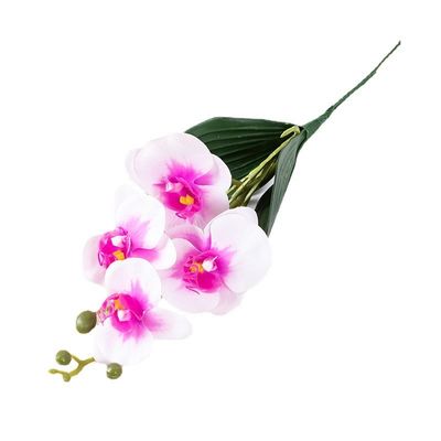 Mua Hoa mô phỏng bốn đầu Phalaenopsis nhà trang trí mềm nhánh nhỏ Phalaenopsis trang trí 3d keo chạm hoa nhân tạo đang bán tốt qua biên giới sản xuất trực tuyến
