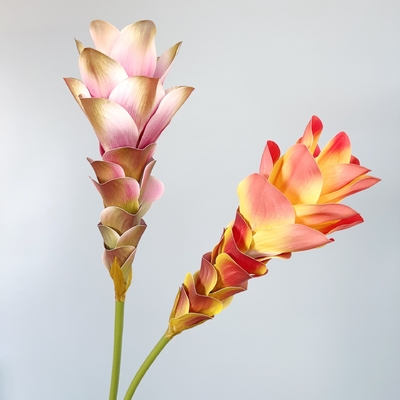 Giá tốt. Hoa mô phỏng, hoa gừng, hoa sen, in 3D, hoa kết cấu, trang trí gia đình, trang trí phòng mô hình, đồ trang trí khung cảnh đám cưới, bó hoa trực tuyến
