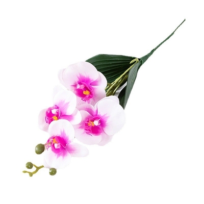 Giá tốt. Hoa mô phỏng bốn đầu Phalaenopsis nhà trang trí mềm nhánh nhỏ Phalaenopsis trang trí 3d keo chạm hoa nhân tạo đang bán tốt qua biên giới trực tuyến
