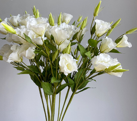 Giá tốt. 3 mảnh hoa Campanula giả, đồ trang trí nhà, hoa lụa, đồ dùng chụp ảnh, hướng dẫn đường cưới, cảnh quan, bó hoa giả trực tuyến