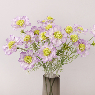 Giá tốt. Simulation Wheel Peak Chrysanthemum Pine Cordyceps Home Đặt hoa giả Đồ trang trí Hoa ngô Simulation Flower Plastic trực tuyến
