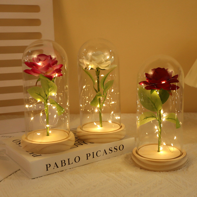 Giá tốt. Phép hoa hồng, hoa vĩnh cửu, vỏ thủy tinh, Ngày của Mẹ, Ngày Valentine, đồ trang trí quà tặng Giáng sinh và nhà sản xuất đồ trang trí bán buôn trực tuyến