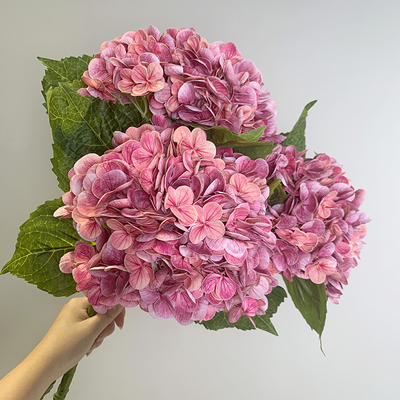 Giá tốt. Hoa hoa hydrangea sinh học, hoa mô phỏng, cảm ứng dưỡng ẩm, bó hoa hydrangea, trang trí bàn ăn phòng khách, trang trí hoa cưới trực tuyến