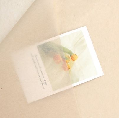 Giá tốt. Effortlessly Elegant Korean-Style Copy Paper for Flower Wrapping and Gift Packaging trực tuyến