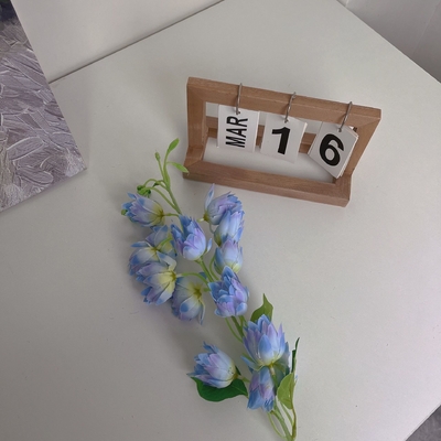 Giá tốt. Hoa nhân tạo, bông hoa, hoa Phalaenopsis, hoa nhân tạo, hoa lụa, hoa trưng bày tại nhà, trang trí đám cưới, hoa lily của thung lũng, hoa gió trực tuyến
